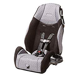 Cosco – Highback 2-in-1 Booster Car Seat – 5-Point Harness or Belt-positioning – Machine Washable Fabric, Hawthorne