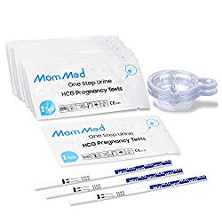 Pregnancy Test Strips (HCG20) with 20 Free Urine Cups, Reliable and Quick Early Detection of Pregnancy, Early Pregnancy Tests, Pregnancy Test Kit