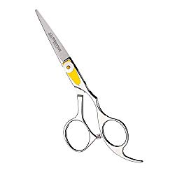 Equinox Professional Shears Razor Edge Series – Barber Hair Cutting Scissors/Shears – 6.5 Inches – Japanese Stainless Steel Hair Scissors