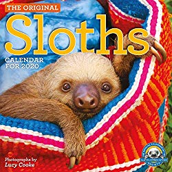 Original Sloths Wall Calendar 2020