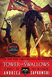 The Tower of Swallows (The Witcher (4))