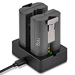 Ring Battery Charger, Dual Port Charging Station for Ring Spotlight Cam Battery, Ring Video Doorbell 2 & Ring Stick Up Cam Battery (Ring Batteries NOT Included) – by DECHIANY