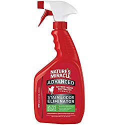 Nature’s Miracle Advanced Stain and Odor Eliminator,  32oz