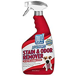 OUT! Advanced Stain and Odor Remover | Pet Stain and Odor Remover | 32 Ounces