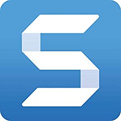 Snagit 2020 – Screen Capture & Image Editor [PC/Mac Online Code]
