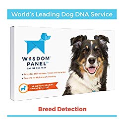 Wisdom Panel 3.0 Canine DNA Test – Dog DNA Test Kit for Breed and Ancestry Information
