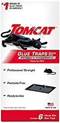 Tomcat Glue Traps Mouse Size with Eugenol for Enhanced Stickiness, Captures Mice and Other Household Pests, Professional Strength, Pesticide-Free and Ready-to-Use, 6 Glue Traps